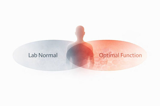 Normal Ferritin Levels: What "Normal" Can Miss (Female vs Male)