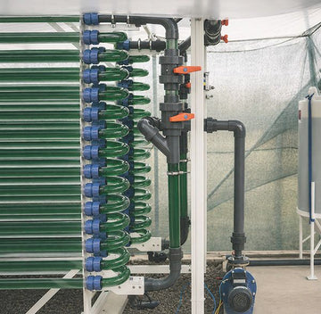 Closed photobioreactors at the ALPHYCA facility